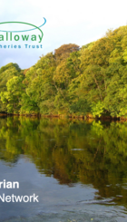 Annan Riparian Woodlands