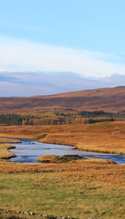 One of the rivers in the NDSFB which would benefit from riparian tree planting